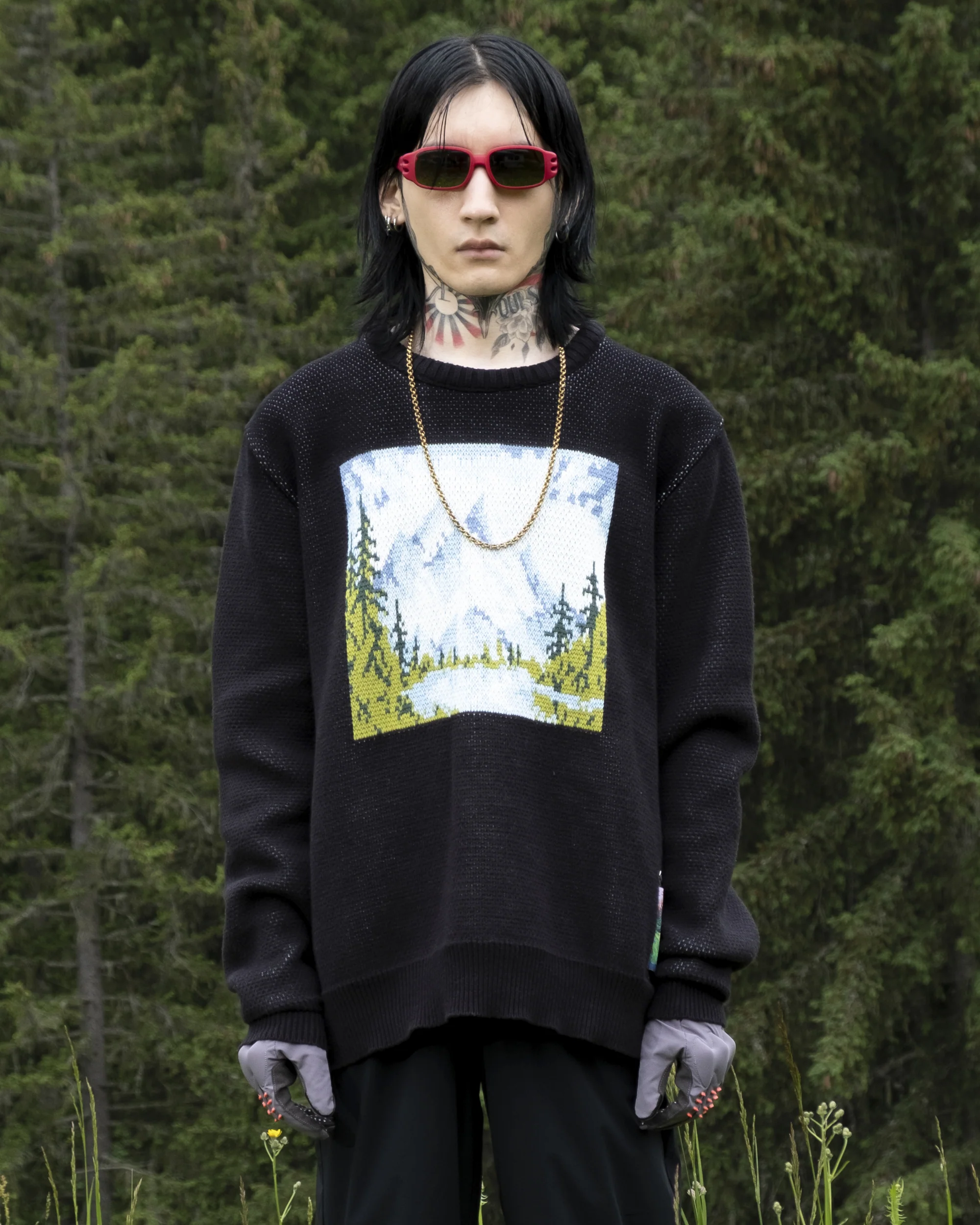 PULL PAYSAGE EN MAILLE INTARSIA - Image 25